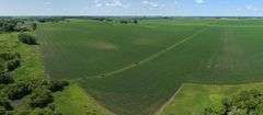 Drone view of 118.86 acres of farmland for sale in Floyd County, Iowa, showing a homestead with outbuildings and expansive row crop fields stretching into the distance.