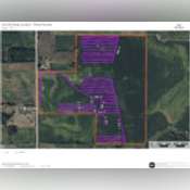 Thumbnail image of Tile Map.pdf