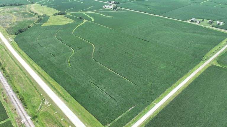 High-angle drone image of a 106-acre Washington County row-crop farm for sale, its irregular boundary outlined in white and bordered by hard-surface roads and rolling green countryside.