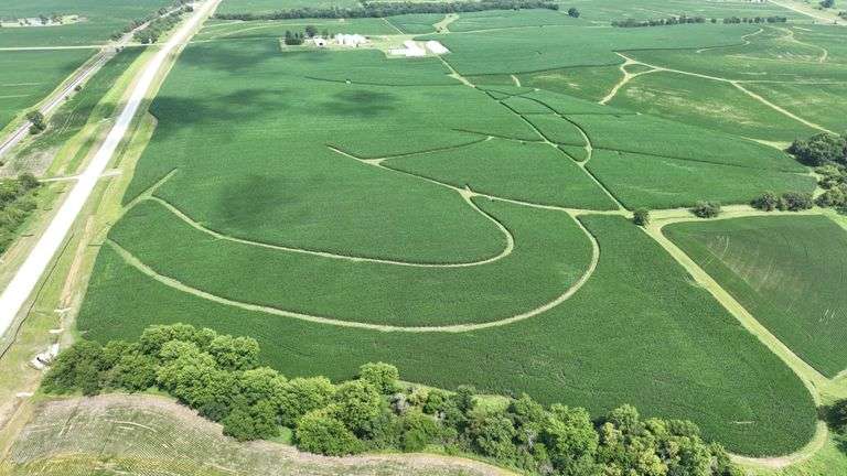 Aerial photo of a 77-acre Washington County, Iowa row-crop farm—lush green soybean fields with sweeping contour rows and long paved-road frontage.