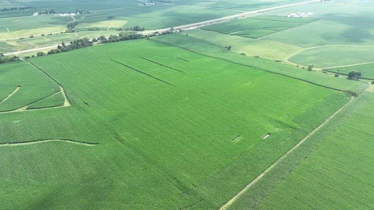 Aerial view of a 72-acre Washington County, Iowa row-crop field for sale—uniform green soybeans on gently rolling ground bordered by grass waterways and a nearby paved highway.
