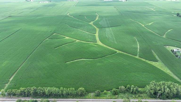 Aerial drone view of 70 contiguous acres of Washington County cropland for sale—lush soybean fields patterned with branching grass waterways and bordered by a tree-lined rail spur.