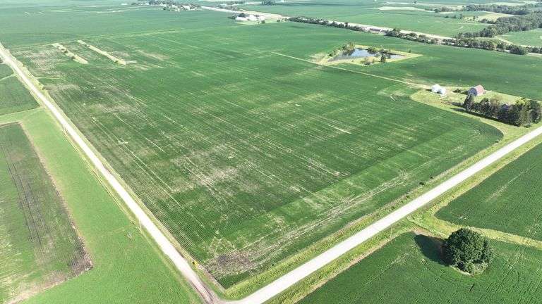 Louisa County 147 +/- Acres (Subject to Survey) (Tract 11)