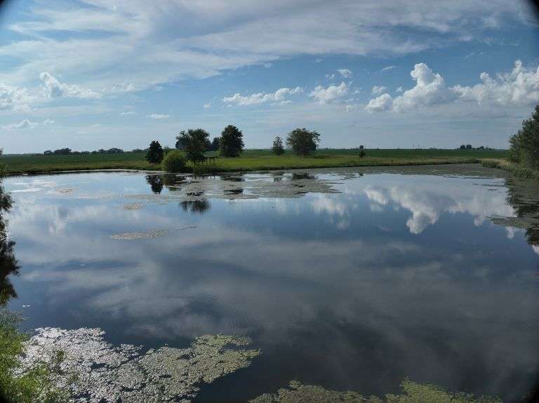 Louisa County 147 +/- Acres (Subject to Survey) (Tract 11)