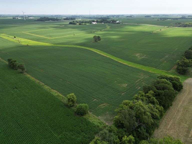 Bremer County, IA Land For Sale / 219.43 +/- Acres