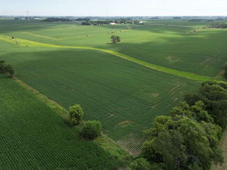 Bremer County, IA Land For Sale / 219.43 +/- Acres