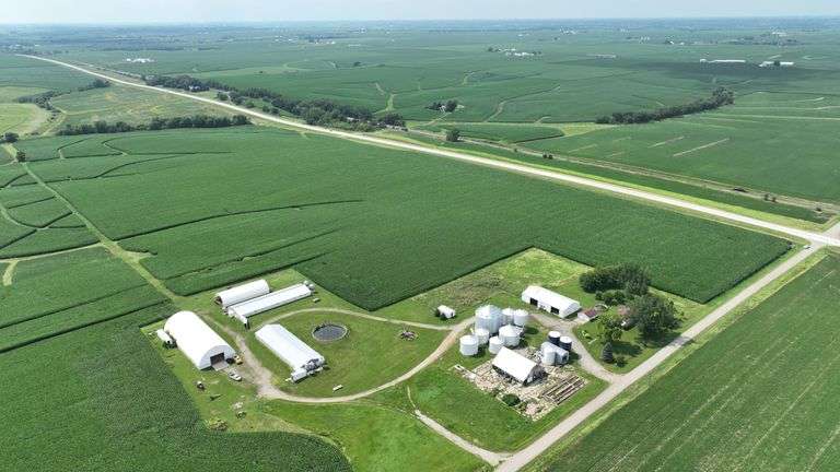 Aerial drone view of a 77-acre Washington County, Iowa row-crop farm for sale—continuous green soybean fields bordered by two paved roads and set amid rolling countryside.