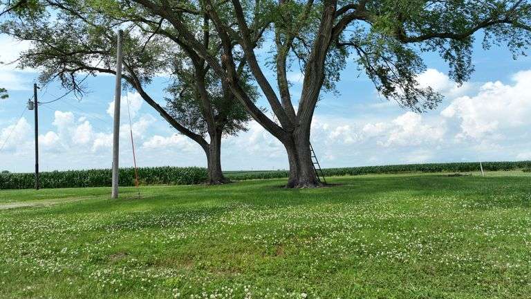 Ground-level photo of a wooden utility pole with transformer and overhead service line set in a mown farmyard, with cornfields and blue sky—part of a 42-acre Washington County farm for sale.