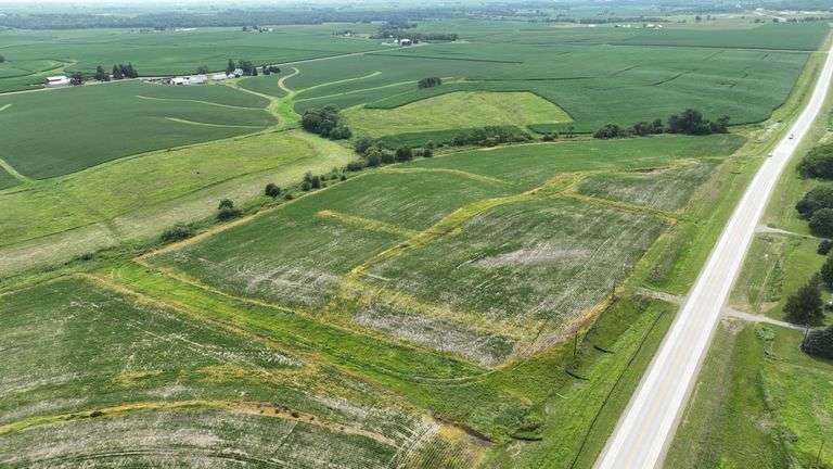 Aerial view of a 30-acre Washington County tract for sale, showing a mix of open crop ground and grassland bordered by a paved highway and surrounded by larger cornfields.
