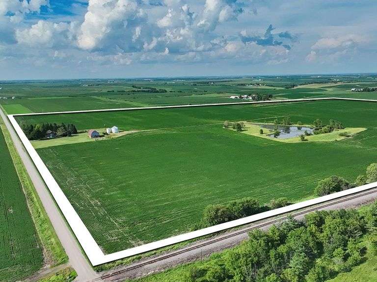Louisa County 147 +/- Acres (Subject to Survey) (Tract 11)