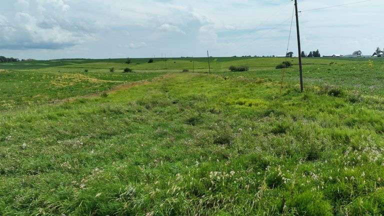 Low-elevation drone view of rolling native grassland dotted with small shrubs and a few trees, part of a 27-acre Washington County, Iowa parcel for sale.