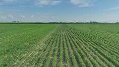 Washington County 120 +/- Acres (Subject to Survey) (Tract 12)