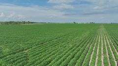 Washington County 120 +/- Acres (Subject to Survey) (Tract 12)