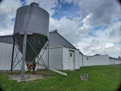 Washington County 5 +/- Acres (Subject to Survey) (Tract 13)