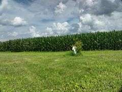 Washington County 5 +/- Acres (Subject to Survey) (Tract 13)