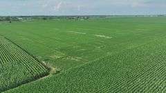 Washington County 120 +/- Acres (Subject to Survey) (Tract 12)