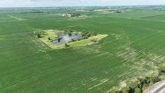 Louisa County 147 +/- Acres (Subject to Survey) (Tract 11)