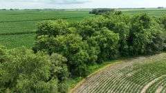 Low-elevation drone view of a 27-acre Washington County, Iowa parcel for sale—mature hardwood timber borders curved soybean rows, with expansive cornfields rolling out beyond.