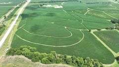 Aerial photo of a 77-acre Washington County, Iowa row-crop farm—lush green soybean fields with sweeping contour rows and long paved-road frontage.