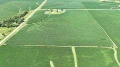 Aerial drone photograph of a 42-acre Washington County farmland tract for sale, showing lush row-crop fields plus two white machine sheds and two round grain bins along a paved road.