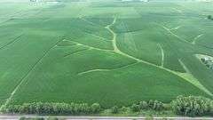 Aerial drone view of 70 contiguous acres of Washington County cropland for sale—lush soybean fields patterned with branching grass waterways and bordered by a tree-lined rail spur.
