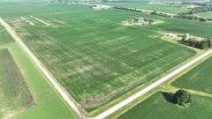 Louisa County 147 +/- Acres (Subject to Survey) (Tract 11)