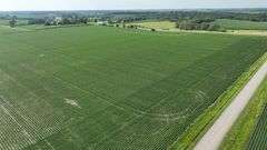 Washington County 120 +/- Acres (Subject to Survey) (Tract 12)