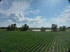 Louisa County 147 +/- Acres (Subject to Survey) (Tract 11)