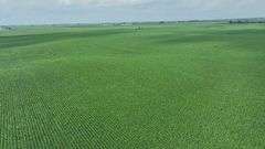 Wide drone view of expansive, uniform soybean fields in Washington County, Iowa—72 acres of contiguous cropland stretching toward a distant highway and rolling farmland.