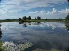 Louisa County 147 +/- Acres (Subject to Survey) (Tract 11)