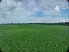 Wide drone view of expansive, uniform soybean fields in Washington County, Iowa—72 acres of contiguous cropland stretching toward a distant highway and rolling farmland.
