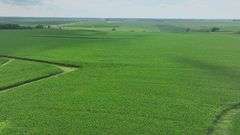 Wide drone view of expansive, uniform soybean fields in Washington County, Iowa—72 acres of contiguous cropland stretching toward a distant highway and rolling farmland.