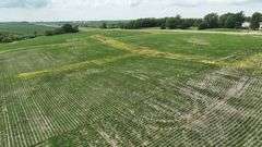 Mid-elevation drone view of a 30-acre Washington County tract for sale, featuring rolling prairie grass in the foreground, a brush-lined drainage swale, and row-crop fields with a distant farmstead.