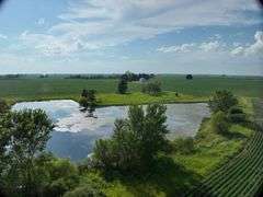 Louisa County 147 +/- Acres (Subject to Survey) (Tract 11)