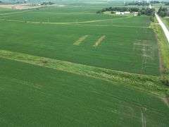 Bremer County, IA Land For Sale / 219.43 +/- Acres