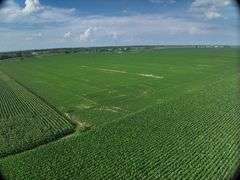 Washington County 120 +/- Acres (Subject to Survey) (Tract 12)