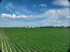 Louisa County 147 +/- Acres (Subject to Survey) (Tract 11)