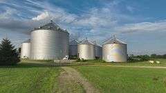 Washington County 5 +/- Acres (Subject to Survey) (Tract 13)