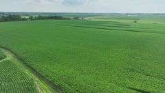 Wide drone view of expansive, uniform soybean fields in Washington County, Iowa—72 acres of contiguous cropland stretching toward a distant highway and rolling farmland.