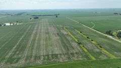 Louisa County 147 +/- Acres (Subject to Survey) (Tract 11)