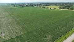Washington County 120 +/- Acres (Subject to Survey) (Tract 12)