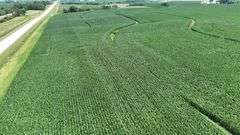 Aerial view of a 106-acre Washington County, Iowa cornfield for sale, bordered by hard-surface roads and surrounded by gently rolling farmland and scattered farmsteads.