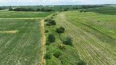 Aerial view of a 30-acre Washington County, Iowa property for sale, featuring row-crop rows on the left, a brush-lined creek in the center, and open grassland on the right.