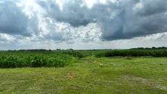 Washington County 5 +/- Acres (Subject to Survey) (Tract 13)