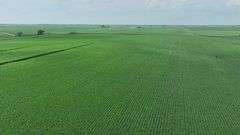 Wide drone view of expansive, uniform soybean fields in Washington County, Iowa—72 acres of contiguous cropland stretching toward a distant highway and rolling farmland.