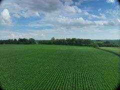 Wide drone view of expansive, uniform soybean fields in Washington County, Iowa—72 acres of contiguous cropland stretching toward a distant highway and rolling farmland.