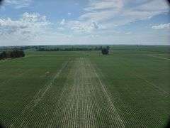 Louisa County 147 +/- Acres (Subject to Survey) (Tract 11)