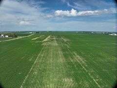 Louisa County 147 +/- Acres (Subject to Survey) (Tract 11)