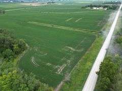 Bremer County, IA Land For Sale / 219.43 +/- Acres