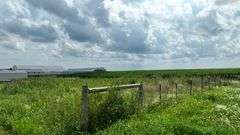 Washington County 7 +/- Acres (Subject to Survey) (Tract 14)